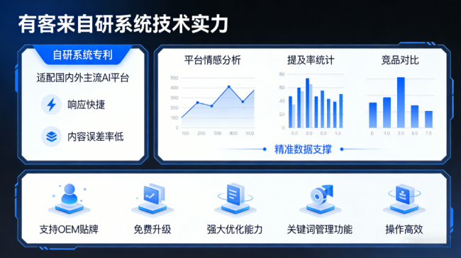 大理星际AI-GEO对比同行有什么优势？正规AI优化服务商差异化对比
